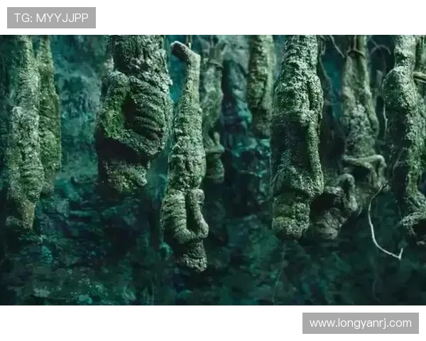 99%的人不知道，云南虫谷隐藏的惊天秘密